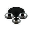 Trio TR66643054 prisadené stropné svietidlo DIVINA  | 10W E14 | dymová