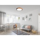 Trio R67201132 LED stropnica Jano 1x20W | 2400lm | 3000K