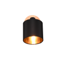 Trio R81331030 nástenná lampa Tommy 1x28W | E14