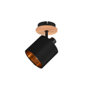 Trio R81331030 nástenná lampa Tommy 1x28W | E14