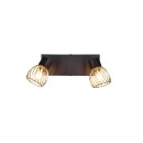 Trio R81382080 bodové stropné svietidlo Ardon | 2x10W E14