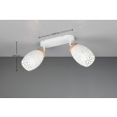 Trio TR81572031 bodové stropné svietidlo BIDAR E14
