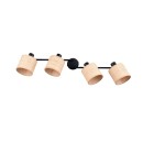 Trio TR81854036 bodové stropné svietidlo AIMEE E14