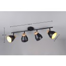 Trio TR81924032 bodové stropné svietidlo VALENTIN E14