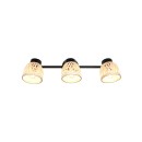 Trio TR86093032 bodové stropné svietidlo LAURENT E14