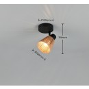 Trio R86491036 bodové nástenné svietidlo NATREL | 10W E14