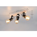 Trio R86663032 bodové stropné svietidlo LYNAR | 10W E27