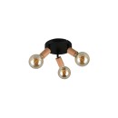 Trio R86683335 bodové stropné svietidlo LAMEGO | 10W E27