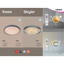 RABALUX 2297 Skyler stropné svietidlo zabud. LED 22W biela