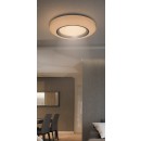 RABALUX 2298 Taylor, stropné svietidlo zabud. LED 38W biela