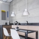 RABALUX 2577 Derek závesné svietidlo E27 1x60W biela