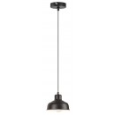 Rabalux 2789 Owen Závesné svietidlo E27 1x60W