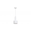 Rabalux 5601 závesné stropné svietidlo Elliot 1x25W | E14