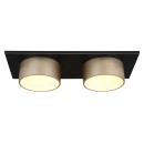 Globo RAYMOND 56964-2 LED bodové stropné svietidlo | 24W LED | 1000lm | 3000K