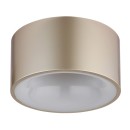 Globo RAYMOND 56964G LED stropnica | 12W LED | 900lm | 3000K