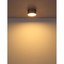 Globo RAYMOND 56964G LED stropnica | 12W LED | 900lm | 3000K
