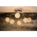 stropné svietidlo Lucide RHEA 31965/29/11 9x20W G4