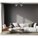 Italux SPL-3422-2-SN bodové stropné svietidlo Riado | 2x40W E14