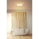 Globo 41563-18WW LED prisadené stropné svietidlo SAPANA | 18W integrovaný LED zdroj | 1600lm | 3000K