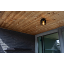 Lutec LT6397501012 vonkajšie stropné svietidlo SHYNE  E27