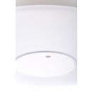 LED RGB nástenné a stropné svietidlo Ledko 30W