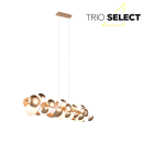 Trio SELECT  T317401079 závesné stropné svietidlo BUBBLE   G9