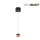 Trio SELECT  T344410132 LED závesné stropné svietidlo ORBIT   | 8W integrovaný LED zdroj | 960lm | 2300+3000+4000K