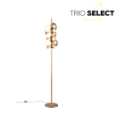 Trio SELECT  T417400779 stojacia lampa BUBBLE   G9