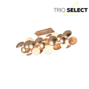 Trio SELECT  T617400879 prisadené stropné svietidlo BUBBLE   G9