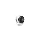 Trio Reality TR045-01 LED ventilátor s osvetlením TEMPEST | 1W integrovaný LED zdroj