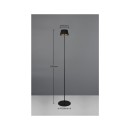 Trio Reality TR47706132 LED stojacia lampa SUAREZ | 1,5W integrovaný LED zdroj | 200lm | 3000K