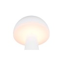 Trio Reality TR57716131 LED vonkajšie stolné svietidlo FUNGO | 2W integrovaný LED zdroj | 200lm | 3000+4000+5000K