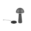 Trio Reality TR57716142 LED vonkajšie stolné svietidlo FUNGO | 2W integrovaný LED zdroj | 200lm | 3000+4000+5000K