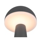 Trio Reality TR57716142 LED vonkajšie stolné svietidlo FUNGO | 2W integrovaný LED zdroj | 200lm | 3000+4000+5000K