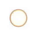 Trio Reality TR64391080 LED prisadené stropné svietidlo FELIS | 24W integrovaný LED zdroj | 2500lm | 2700-6500K