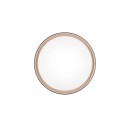Trio Reality TR64391080 LED prisadené stropné svietidlo FELIS | 24W integrovaný LED zdroj | 2500lm | 2700-6500K