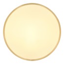 Globo 12381-22 LED prisadené stropné svietidlo TIBEY  | 22W integrovaný LED zdroj | 1800lm | 3000K