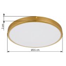 Globo 12381-22 LED prisadené stropné svietidlo TIBEY  | 22W integrovaný LED zdroj | 1800lm | 3000K