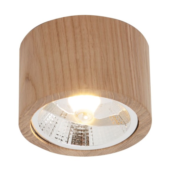 Zuma Line 003064-024525 bodové stropné svietidlo OAK GU10