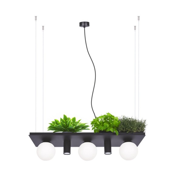 Zuma Line 003749-025970 závesné stropné svietidlo SHELF E14