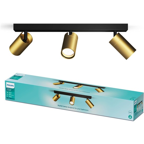 Philips 8720169299214 bodové stropné svietidlo Idris  GU10