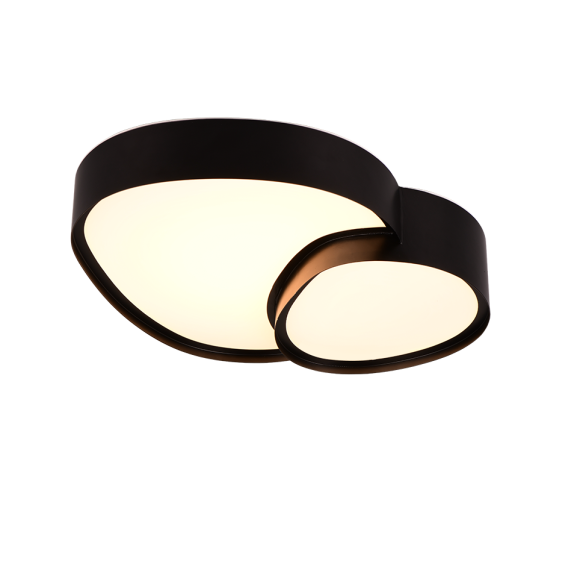Trio T647510232 LED prisadené stropné svietidlo RISE | 21W integrovaný LED zdroj | 2400lm | 2700-6500K