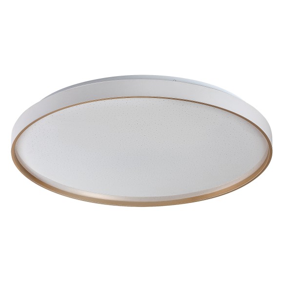 Rabalux 71453 LED prisadené stropné svietidlo Zerava | 60W integrovaný LED zdroj | 4100lm | 3000-6500K | diaľkové ovládanie | stmievač | zlatá