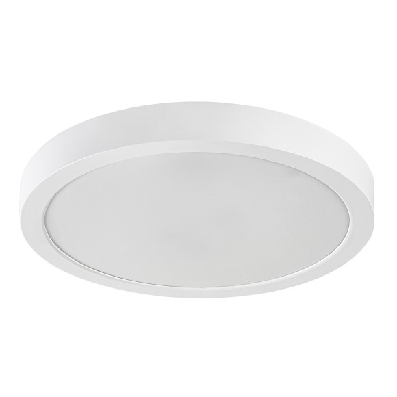 Rabalux 75073 LED vonkajšie stropné svietidlo ShaunPlus | 30W integrovaný LED zdroj | 3000lm | 4000K | biela