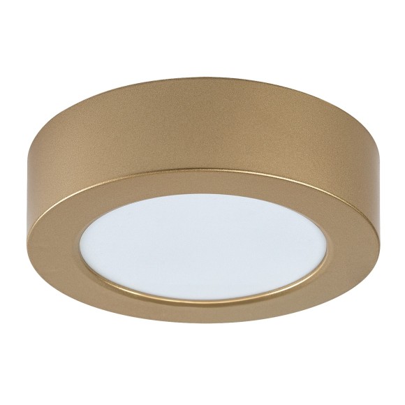 Rabalux 75077 LED vonkajšie stropné svietidlo ShaunPlus | 7W integrovaný LED zdroj | 660lm | 4000K | zlatá