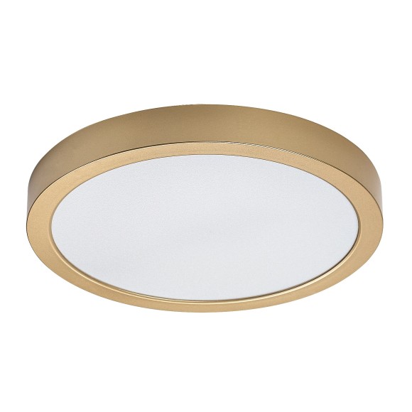 Rabalux 75079 LED vonkajšie stropné svietidlo ShaunPlus | 30W integrovaný LED zdroj | 3000lm | 4000K | zlatá