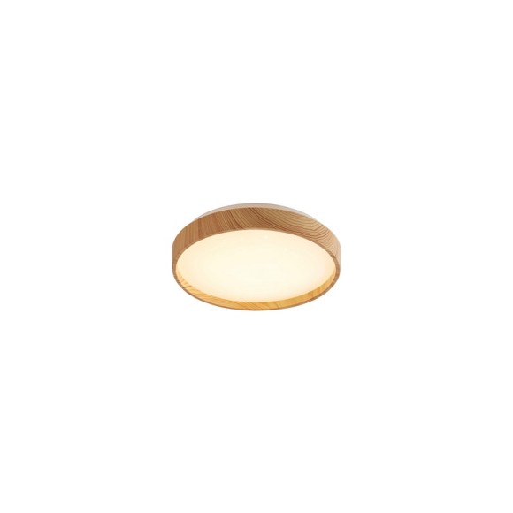 Rabalux 98071143 LED prisadené stropné svietidlo LEANA2  | 12W integrovaný LED zdroj | 730lm | 3000K