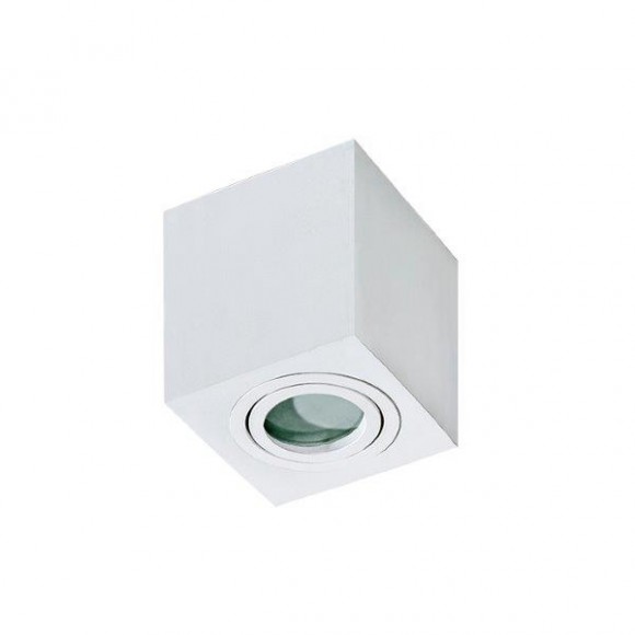 Azzardo AZ2822 prisadené stropné bodové svietidlo Brant Square 1x50W | GU10 | IP44