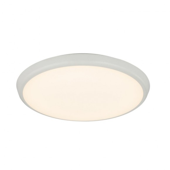 Globo 32109 LED stropné svietidlo Aemon 1x24W | 1700L | 3000K | IP65 - opál, biela