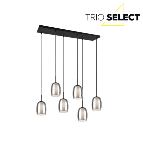 Trio SELECT  T317500654 závesné stropné svietidlo BARRET   E14